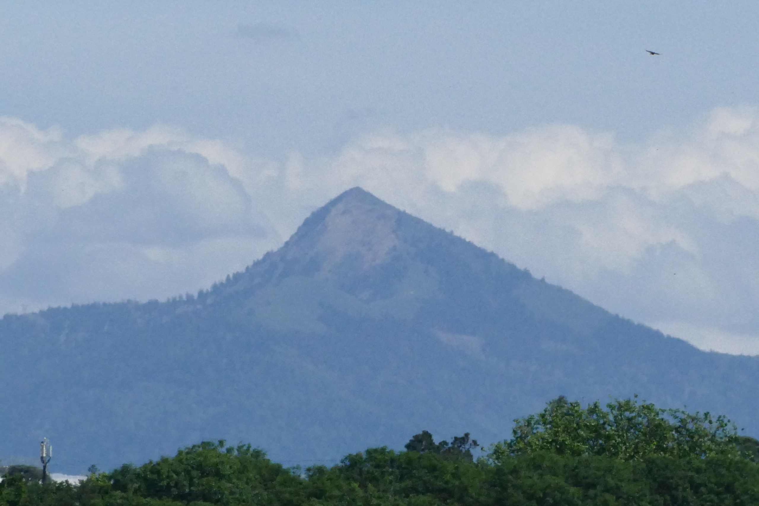 P1110021