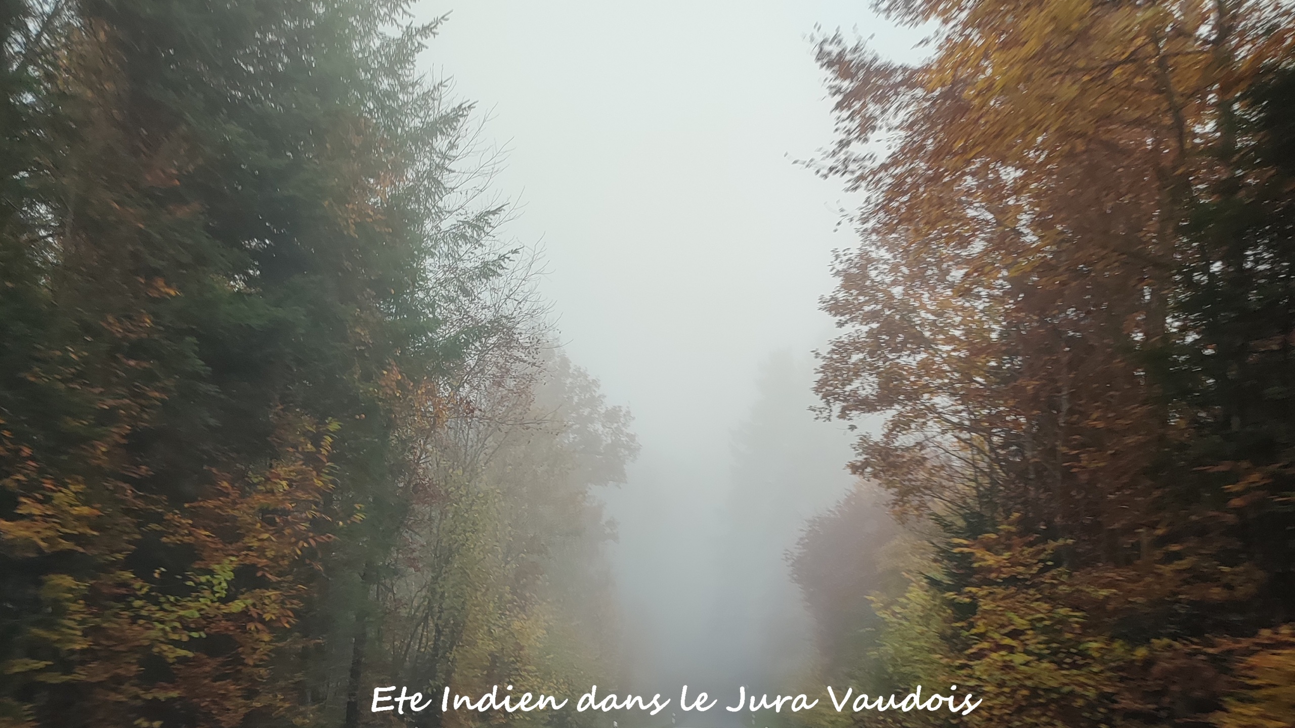 IMG_20251101_084740-TR50