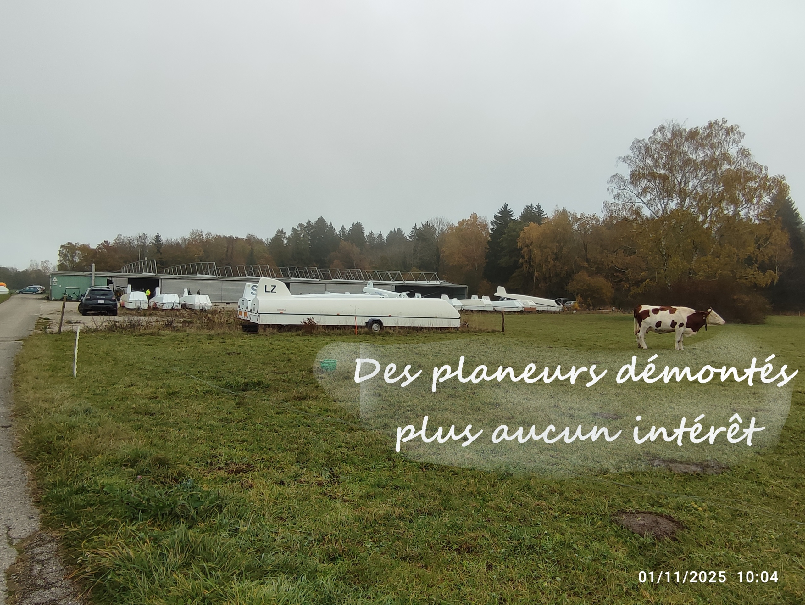 IMG_20251101_100434-T