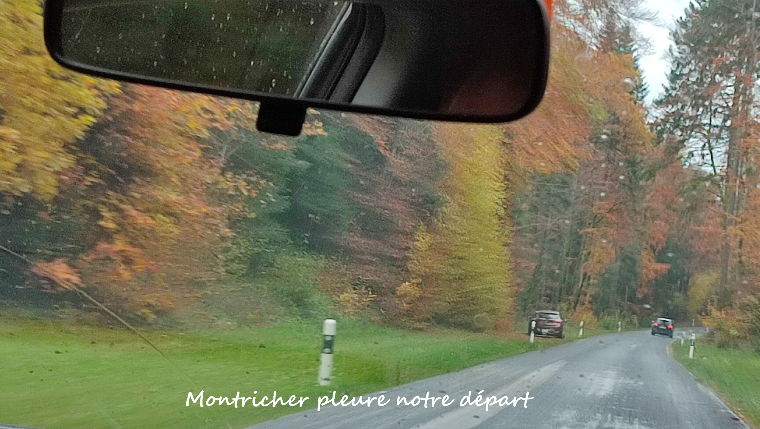 IMG_20251101_151040-R50T